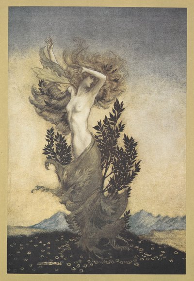 ... ahogy Daphne volt, gyökérkötözve, aki elmenekült Apolló elől. alkotó: Arthur Rackham