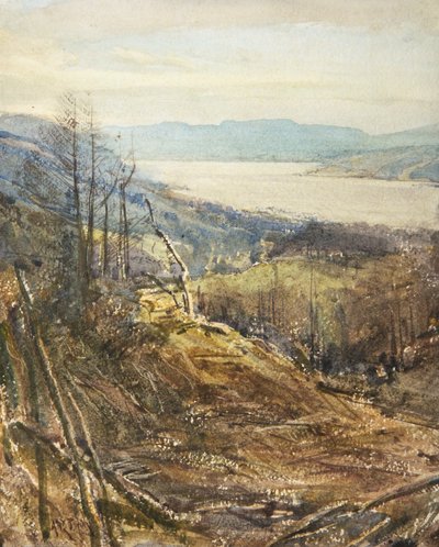 Coniston a Tarn Hows mellől (akvarell) alkotó: Arthur Reginald Smith