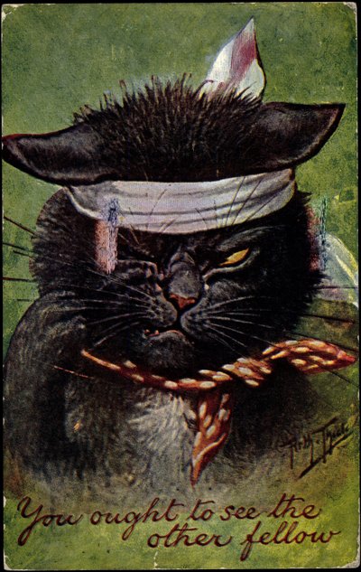 Cat, látnod kéne a másik fickót. alkotó: Arthur Thiele