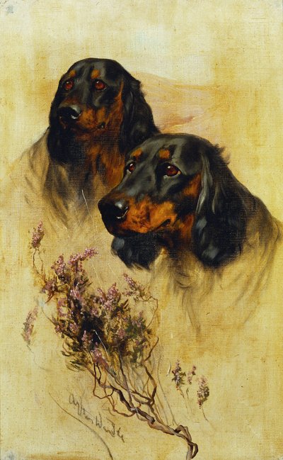 Két Gordon szetter (olaj, vászon) alkotó: Arthur Wardle