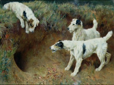 Drótszőrű foxterrier borzkészlettel alkotó: Arthur Wardle