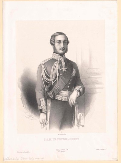 Albert, Anglia hercegi hitvese Szászország hercege Szász-Coburg-Gótország hercege alkotó: Artist Unknown