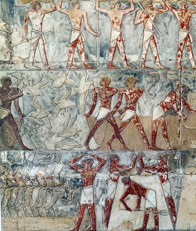 Művészet Egyiptom: mezőgazdasági jelenet, 6. dinasztia alkotó: Artist Unknown