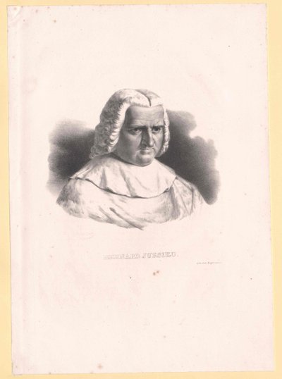 Bernard de Jussieu alkotó: Artist Unknown