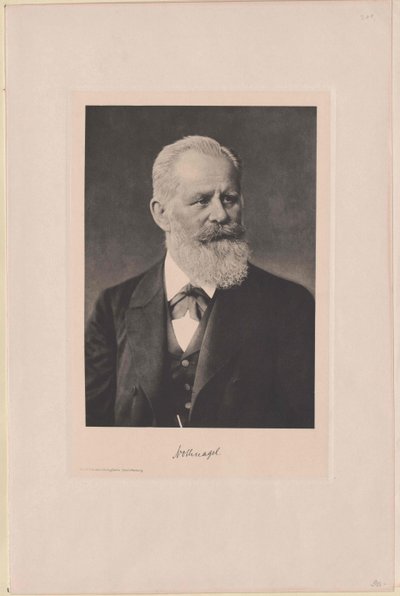 Hermann Nothnagel (nyomtatás) alkotó: Artist Unknown