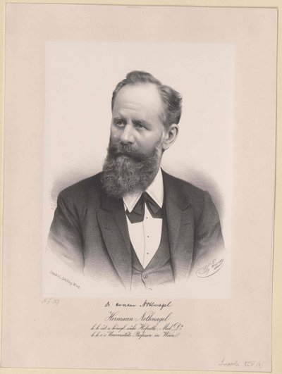 Hermann Nothnagel (nyomtatás) alkotó: Artist Unknown