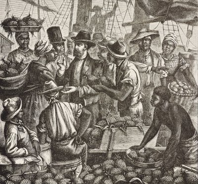 Anglia története (19. század). Gyarmatosítás (1880). Bahama ananászt árul. Angol gyarmat New Providence szigetén. Az ananász volt az egyik legfontosabb exporttermék Nassau kikötőjéből. Metszet. Magángyűjtemény alkotó: Artist Unknown
