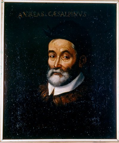  alkotó: Artist Unknown