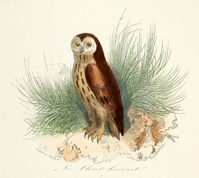 alkotó: Artist Unknown
