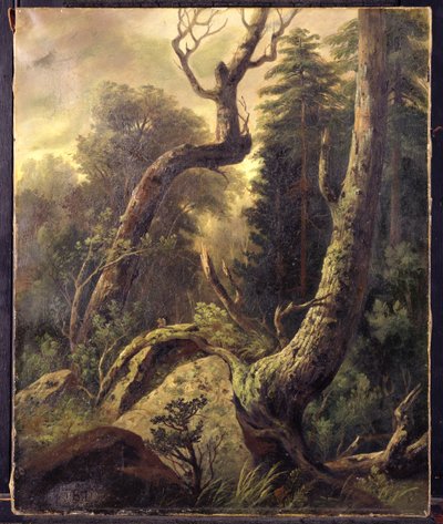 Erdei táj alkotó: Asher Brown Durand