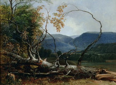 Stratton Notch, Vermont alkotó: Asher Brown Durand