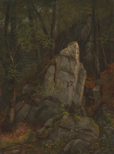 A Pearson-szurdok szikláinak tanulmányozása alkotó: Asher Brown Durand