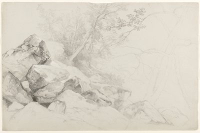 Study of Rocks with Trees, Hague, Lake George, New York, 1862 (grafit szürke papíron) alkotó: Asher Brown Durand
