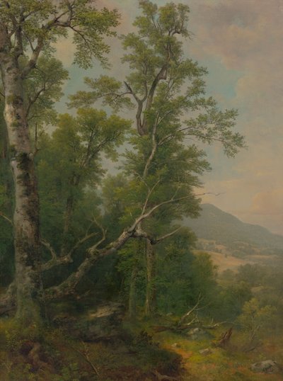 A fák tanulmányozása alkotó: Asher Brown Durand