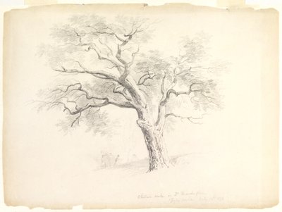 The Chestnut Oak a Hosack Estate-en, Hyde Park, New York, öt figurával és egy művész vázlattal, 1838 (grafit papíron) alkotó: Asher Brown Durand