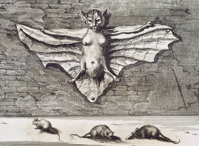 Repülő macska, 1667 alkotó: Athanasius Kircher
