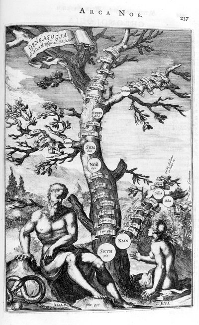 Ádám genealógiai fája, 1675. alkotó: Athanasius Kircher