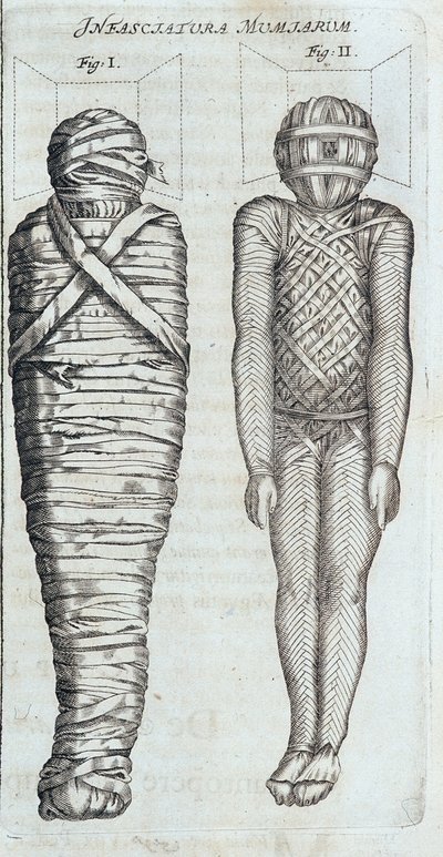 Múmiák – Athanase Kircher „” Sphynx mystagoga” című könyvében alkotó: Athanasius Kircher