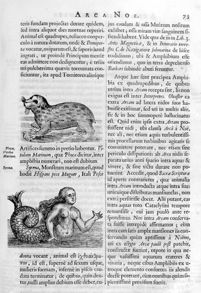 Mitikus lények, 1675. alkotó: Athanasius Kircher