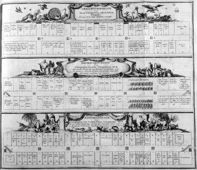 Fajtáblázat, 1765. alkotó: Athanasius Kircher