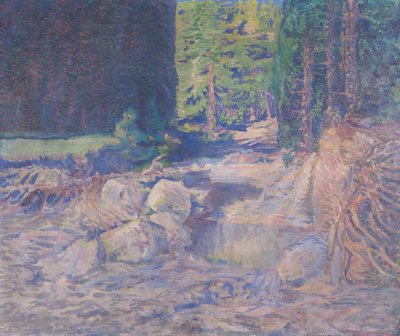 Szunnyadó torrent alkotó: August Roth