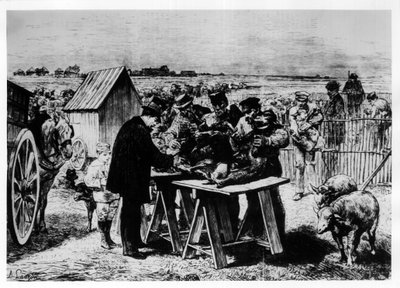 A juhok vakcinázása Pasteur által, metszet: A. Lançon. alkotó: Auguste Andre Lancon