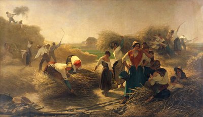 Repcemagot törnek a lille-i mezőkön alkotó: Auguste Joseph Herlin