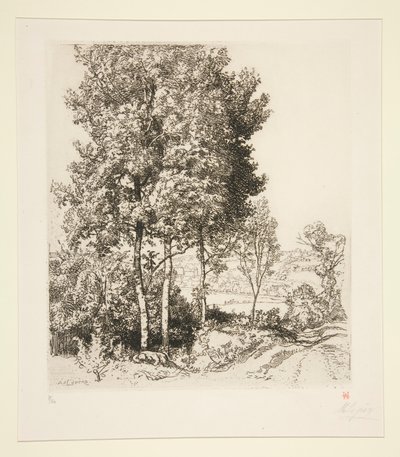 A Petit Morin-völgy Verdelot közelében (Seine-et-Marne) (Kis Morin-völgy Verdelot közelében [Seine-et-Marne]) alkotó: Auguste Lepere