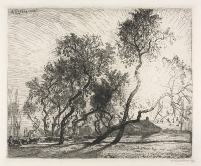 Farm holland nyárfákkal alkotó: Auguste Louis Lepère
