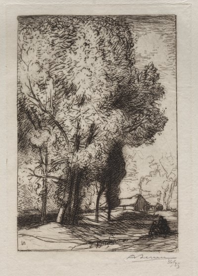 Bourrine a nyárfákban alkotó: Auguste Louis Lepère