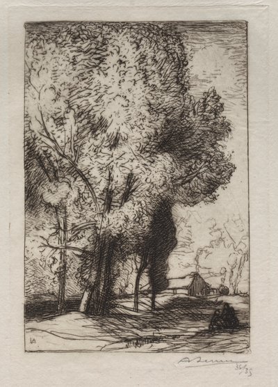 Bourrine a nyárfákban, 1911. alkotó: Auguste Louis Lepère