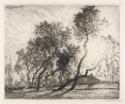 Farm holland nyárfákkal alkotó: Auguste Louis Lepère