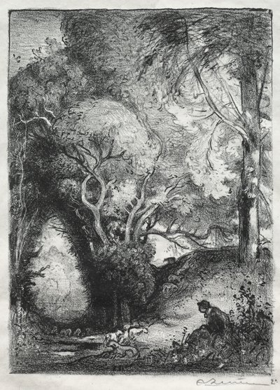 A szakadék júniusban. alkotó: Auguste Louis Lepère
