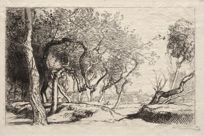 A csavart fa, 1915. alkotó: Auguste Louis Lepère