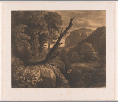 Hegyi táj madár repül át egy szakadékon Dix eaux-fortes par A. Numans (sorozat címe) Auguste Numans arcai más előadóknak (sorozat címe) alkotó: Auguste Numans