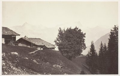 Savoie 47, Le Buet és a Fis sziklái alkotó: Auguste Rosalie Bisson