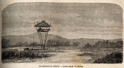 Egy rizsőr, Batavia (a mai Jakarta) közelében. M. de Molins rajza jávai utazásának illusztrálására alkotó: Auguste de Molins