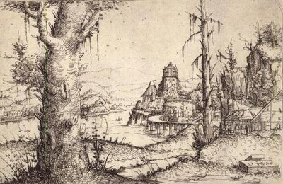 P.9-1993 Folyami táj vaskos fával alkotó: Augustin Hirschvogel