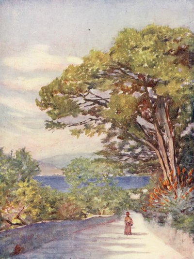 Egy út Gibraltárban (színes litográfia) alkotó: Augustine Fitzgerald