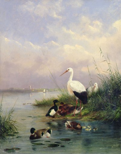 Egy tőkés réce család, két gólya és egy bojtos réce család (77886 pár) alkotó: Augustus Knip