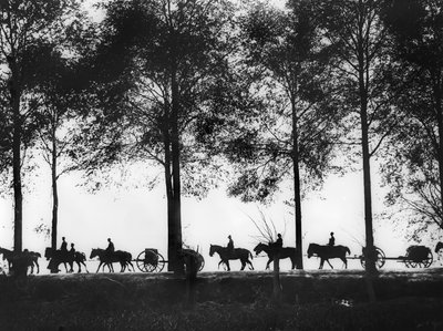 Lőszerrel megrakott ausztrál tüzérségi fegyveresek sziluettje az Ypres úton haladva, 1917. szeptember 25. alkotó: Australian Photographer