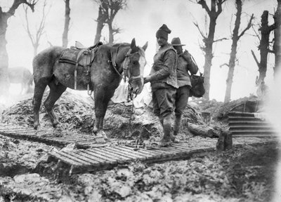 Egy tüzérségi ló, amellyel lőszert szállítottak a fegyverekhez, és azonosítatlan ausztrál sofőrje a Mametz és Montauban közötti kacskaringós pályán, 1916 decemberében alkotó: Australian Photographer