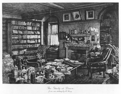 The Study at Down, kocsma. 1882 (metszet) alkotó: Axel (after) Haig