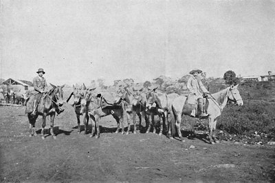 Belső kereskedők, Belső kereskedők, 1895 alkotó: Axel Frick