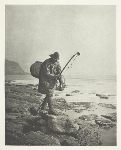 Garnélarák alkotó: B. Gay Wilkinson