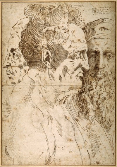 Három férfifej egymás mellett (toll és barna tinta és fekete kréta papíron) alkotó: Baccio Bandinelli