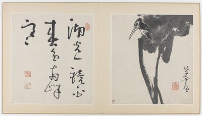 Virágok, madarak, rovarok és halak albumának oldalai, Qing-dinasztia, 1688-89 (tinta papíron) alkotó: Bada Shanren