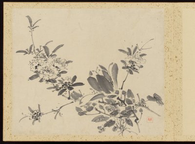 "Kifinomult elegancia a négy évszakban" (Shiji seiga), Album of Flower Paintings alkotó: Baiitsu Yamamoto