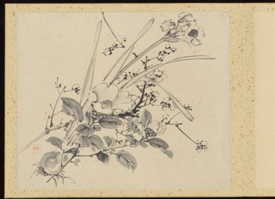 "Kifinomult elegancia a négy évszakban" (Shiji seiga), Album of Flower Paintings alkotó: Baiitsu Yamamoto