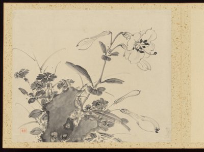 "Kifinomult elegancia a négy évszakban" (Shiji seiga), Album of Flower Paintings alkotó: Baiitsu Yamamoto